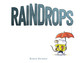 Raindrops Robin Boyden 9780008743659