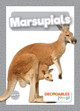 Marsupials by Madeline Tyler 9798885248129