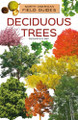 Deciduous Trees by Samantha S Bell 9781098297671