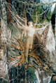 Synthesis by Mari Katayama 9781917651110