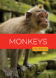 Monkeys by Melissa Gish 9798889896593
