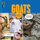 Goats by Kate Riggs 9798889895749