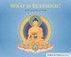 What Is Meditation?: Buddhism for Children Level 4 by Geshe Kelsang Gyatso 9781906665470