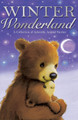 Winter Wonderland by Various Authors 9781847154606