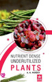 Nutrient Dense Underutilized Plants by A K Panday 9789354615023