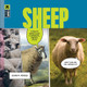 Sheep by Quinn M Arnold 9781682777497
