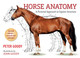 Horse Anatomy 2e by Peter C. Goody 9780851317694