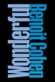 Wonderful by Benoit Cohen 9781938461705