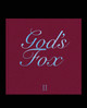 God's Fox II Charles Gordon Montgomery 9781919629674