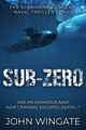 Sub-zero by John Wingate 9781800552852
