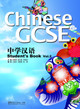 Chinese GCSE Student Book Vol.2: 2011 by Xiaoqi LI 9781907838033