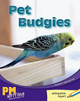 Pet Budgies by Heather Hammonds 9780170132237