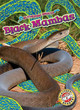 Black Mambas by Joanne Mattern 9798886870367