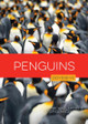Penguins by Rachael Hanel 9798896801016