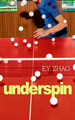 Underspin by E Y Zhao 9781529961478