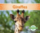 Giraffes by Grace Hansen 9781680805444