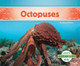 Octopuses by Grace Hansen 9781629707105