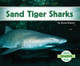 Sand Tiger Sharks by Grace Hansen 9781680801545