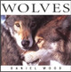 Wolves by Daniel Wood 9781552856642