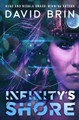 Infinity's Shore by David Brin 9781504064743
