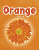 Orange by April R Hugh 9798875271632