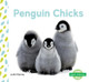 Penguin Chicks by Julie Murray 9781532100055