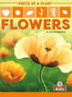 Flowers by Alicia Rodriguez 9781427140647