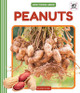 Peanuts by Golriz Golkar 9781532169816