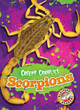 Scorpions by Kari Schuetz 9781626172265
