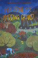 Far from the Madding Crowd by Thomas Hardy 9781853260674 [USED COPY]