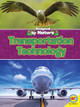 Transportation Technology by Wendy Hinote Lanier 9781489697349