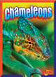 Chameleons by Mark Weakland 9781623106416