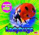 Ladybugs by Aaron Carr 9781791144449