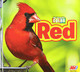 Red by Pamela McDowell 9781791134167