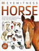 Horse by DK 9780241258859 [USED COPY]