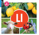 LL by Warren Rylands 9781510557703