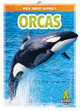 Orcas by Colton Temple 9781645195085