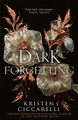 A Dark Forgetting Kristen Ciccarelli 9780008783952