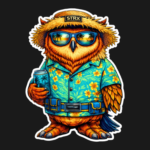 Beach Owl Color