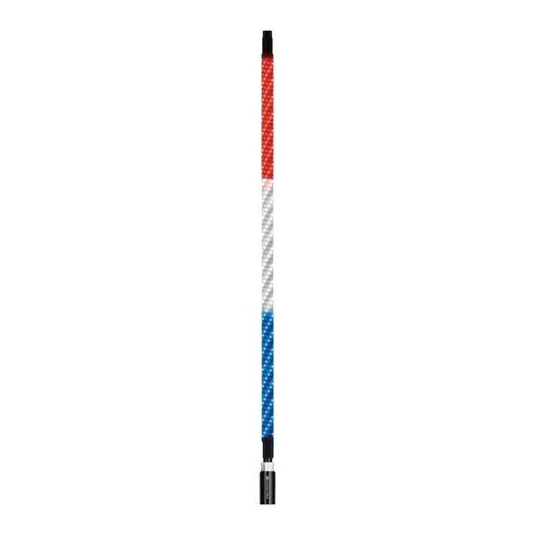 ECOXGEAR 4 Foot Led Whip W/ Controller