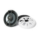 ECOXGEAR Marine 8 inch Wired Speakers