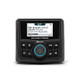 ECOXGEAR Marine AM/FM/Bluetooth Digital Mediumia Player Gauge Radio