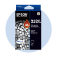 Epson 252 Ink Cartridges