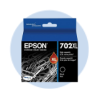 Epson 702 Ink Cartridges