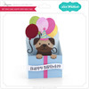 Fun 5x7 Box Card Birthday Bundle