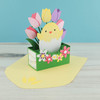 Box Card Chick Tulips