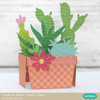 Box Card Succulents