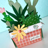 Box Card Succulents