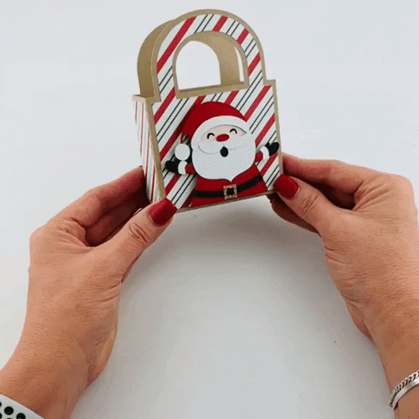 Money Roll Gift Bag Christmas Tree