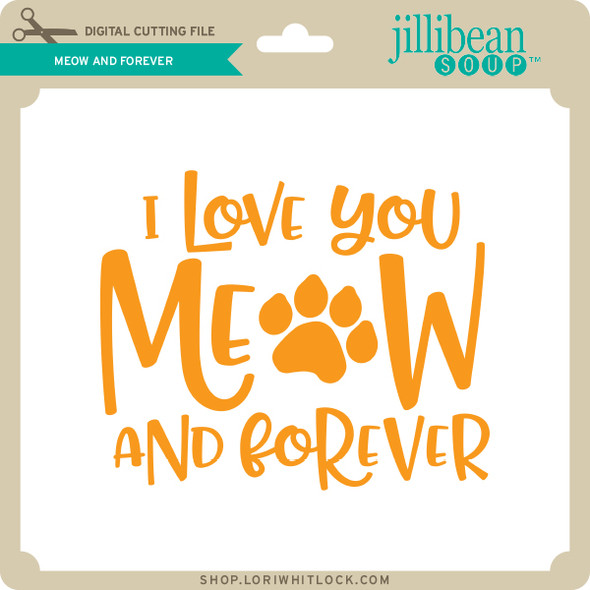 Meow and Forever